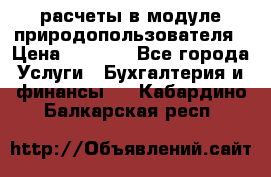 расчеты в модуле природопользователя › Цена ­ 3 000 - Все города Услуги » Бухгалтерия и финансы   . Кабардино-Балкарская респ.